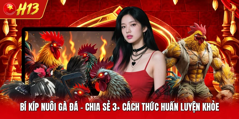 Bí Kíp Nuôi Gà Đá - Chia Sẻ 3+ Cách Thức Huấn Luyện Khỏe