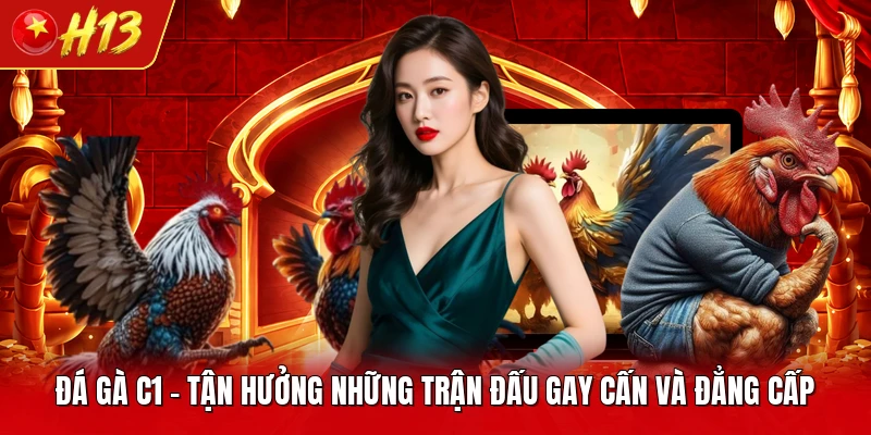 Đá Gà C1 - Tận Hưởng Những Trận Đấu Gay Cấn Và Đẳng Cấp