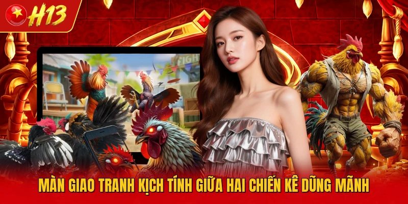 Màn giao tranh kịch tính giữa hai chiến kê dũng mãnh
