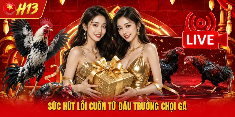 Sức hút lôi cuốn từ đấu trường chọi gà